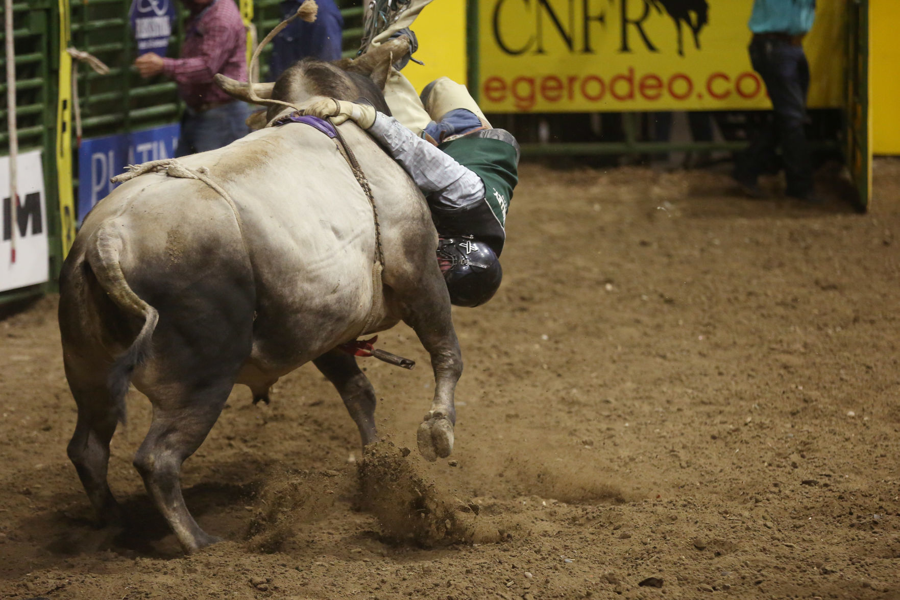 CNFR